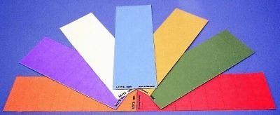 Esselte Leitz GmbH & Co. KG Premium Blankoschild LEI 1901-00-55 grün * 100st für Vollsichtreiter 6114 von Esselte Leitz GmbH & Co. KG