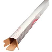 10 Esselte Versandhülsen eckig für DIN A0, DIN B0, DIN C0 10 Esselte Versandhülsen eckig für DIN A0, DIN B0, DIN C0 von Esselte