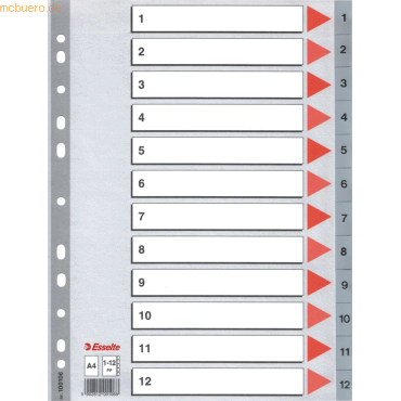 10 x Esselte Register A4 1-12 PP grau 10 x Esselte Register A4 1-12 PP grau von Esselte