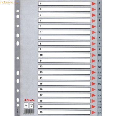 10 x Esselte Register A4 1-20 PP grau 10 x Esselte Register A4 1-20 PP grau von Esselte