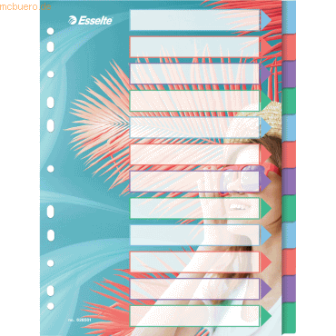 10 x Esselte Register Colour'Breeze A4 PP blanko 12-teilig transparent 10 x Esselte Register Colour'Breeze A4 PP blanko 12-teilig transparent von Esselte