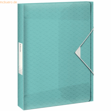 2 x Esselte Ablagebox Colour'Ice A4 PP 25mm blau 2 x Esselte Ablagebox Colour'Ice A4 PP 25mm blau von Esselte