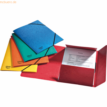 12 x Esselte Eckspanner Rainbox A4 390g/qm für 200 Blatt farbig sortie von Esselte