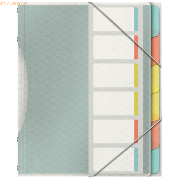 Esselte Ordnungsmappe Colour'Ice A4 PP 6 Fächer farbig von Esselte
