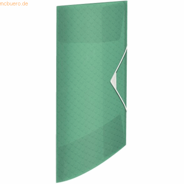 4 x Esselte Eckspannermappe Colour'Ice A4 PP grün 4 x Esselte Eckspannermappe Colour'Ice A4 PP grün von Esselte