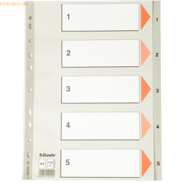 20 x Esselte Register A4 1-5 PP grau 20 x Esselte Register A4 1-5 PP grau von Esselte
