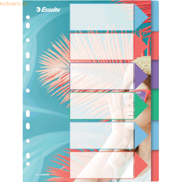 20 x Esselte Register Colour'Breeze A4 PP blanko 6-teilig transparent 20 x Esselte Register Colour'Breeze A4 PP blanko 6-teilig transparent von Esselte