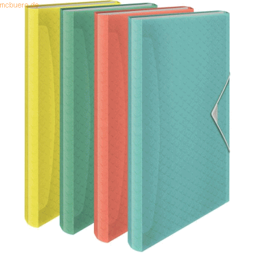 6 x Esselte Projektmappe Colour'Ice A4 PP sortiert 6 x Esselte Projektmappe Colour'Ice A4 PP sortiert von Esselte