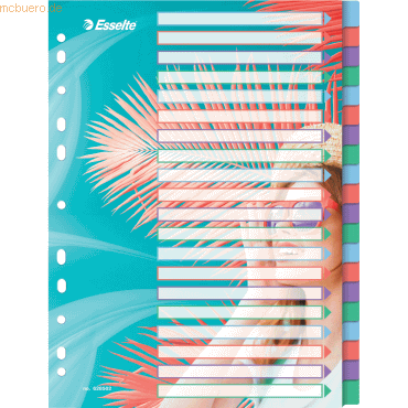 6 x Esselte Register Colour'Breeze A4 PP blanko 20-teilig transparent 6 x Esselte Register Colour'Breeze A4 PP blanko 20-teilig transparent von Esselte