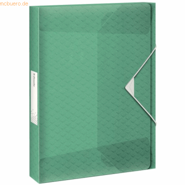 5 x Esselte Ablagebox Colour'Ice A4 PP 40mm grün von Esselte