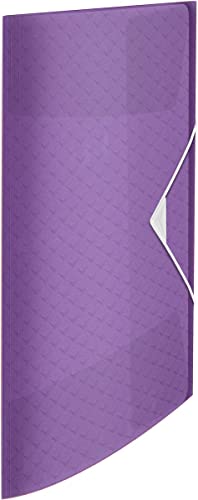 Esselte 3-Fächer-Kunststoffordner, fasst bis zu 150 Blatt Papier, A4, Dokumentenablage, zur Schreibtischorganisation, Colour'Breeze Serie, Lavendel, 626440 von Esselte