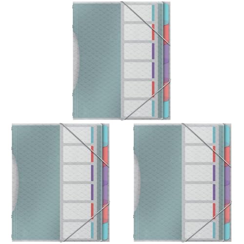 Esselte A4-Projektordner mit 6 Taben, Ordnungsmappe mit Register zur Schreibtischorganisation und Aufbewahrung von Projektunterlagen, Mit Klappen und Gummizug, Colour'Breeze Serie, Mehrfarbig, 626255 von Esselte