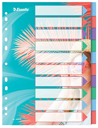 Esselte A4-Registerkarten, 10 Trennblätter für Ringbücher und Aktenordner, für Zuhause/Büro, zur Schreibtischorganisation, Colour'Breeze Serie, Mehrfarbig, 628500 Esselte A4-Registerkarten, 10 Trennblätter für Ringbücher und Aktenordner, für Zuhause/Büro, zur Schreibtischorganisation, Colour'Breeze Serie, Mehrfarbig, 628500 von Esselte