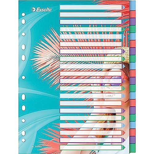 Esselte A4-Registerkarten, 20 Trennblätter für Ringbücher und Aktenordner, für Zuhause/Büro, zur Schreibtischorganisation, Colour'Breeze Serie, Mehrfarbig, 628502 Esselte A4-Registerkarten, 20 Trennblätter für Ringbücher und Aktenordner, für Zuhause/Büro, zur Schreibtischorganisation, Colour'Breeze Serie, Mehrfarbig, 628502 von Esselte