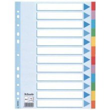 Esselte Kartonregister Standard Blanko, A4, Karton, 12 Blatt, weiss Esselte Kartonregister Standard Blanko, A4, Karton, 12 Blatt, weiss von Esselte