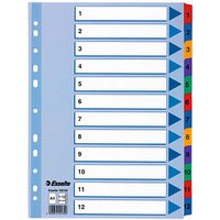Esselte Ordnerregister Vollformat 1-12 farbig 12-teilig, 1 Satz Esselte Ordnerregister Vollformat 1-12 farbig 12-teilig, 1 Satz von Esselte