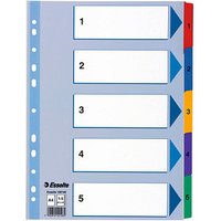 Esselte Ordnerregister Vollformat 1-5 farbig 5-teilig, 1 Satz Esselte Ordnerregister Vollformat 1-5 farbig 5-teilig, 1 Satz von Esselte