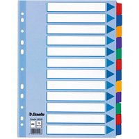 Esselte Ordnerregister Vollformat blanko farbig 12-teilig, 1 Satz Esselte Ordnerregister Vollformat blanko farbig 12-teilig, 1 Satz von Esselte