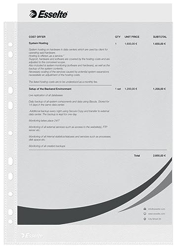 Esselte Prospekthüllen-Set, 100 Stück, A4 Format mit Universal-Lochung, Farblos mit matter Oberfläche, 0,043 mm PP-Folie, 56133 von Esselte