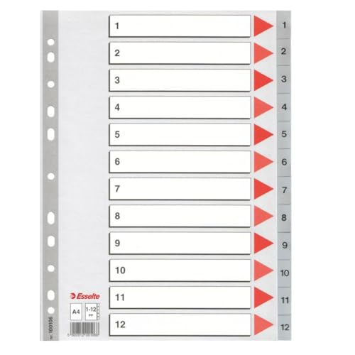 Esselte Register für A4, Deckblatt aus Karton und 12 Trennblätter aus Kunststoff, Taben mit Zahlenaufdruck 1-12, Überbreite, Grau, 100106 Esselte Register für A4, Deckblatt aus Karton und 12 Trennblätter aus Kunststoff, Taben mit Zahlenaufdruck 1-12, Überbreite, Grau, 100106 von Esselte