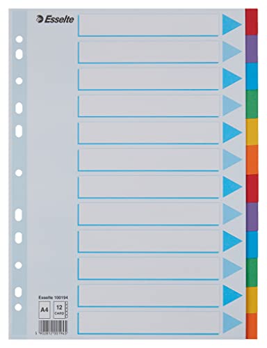 Leitz Esselte Register für A4, Deckblatt und 12 Trennblätter mit Taben, Blau/Mehrfarbig, Recyclingkarton, 100194 Leitz Esselte Register für A4, Deckblatt und 12 Trennblätter mit Taben, Blau/Mehrfarbig, Recyclingkarton, 100194 von Esselte