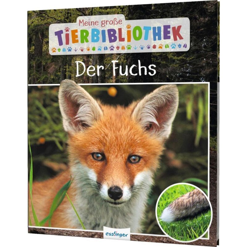 Der Fuchs / Meine Große Tierbibliothek Bd.16 - Christian Havard, Gebunden von Esslinger in der Thienemann-Esslinger Verlag GmbH