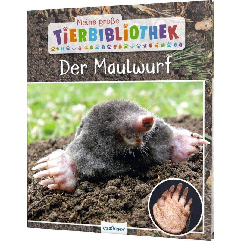 Der Maulwurf / Meine Große Tierbibliothek Bd.21 - Jens Poschadel, Gebunden von Esslinger in der Thienemann-Esslinger Verlag GmbH