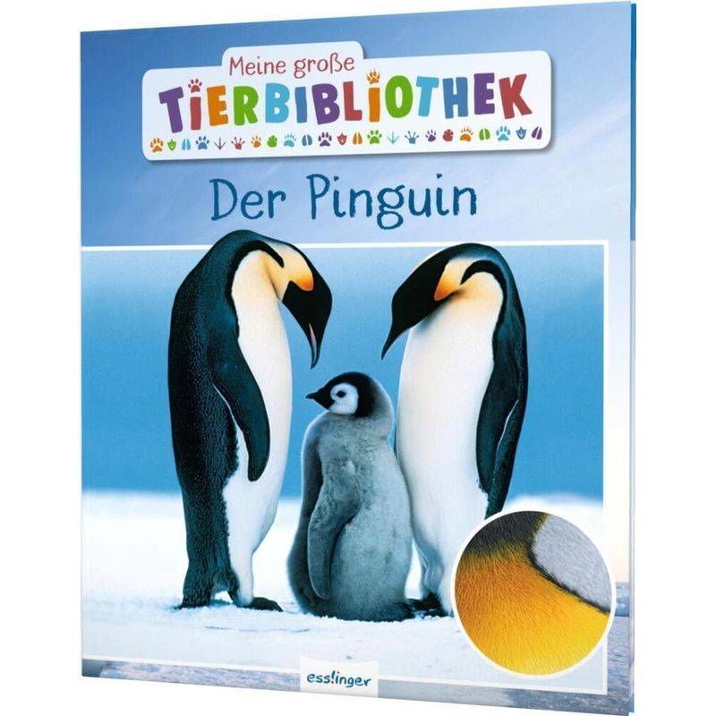 Der Pinguin / Meine Große Tierbibliothek Bd.18 - Jens Poschadel, Gebunden von Esslinger in der Thienemann-Esslinger Verlag GmbH