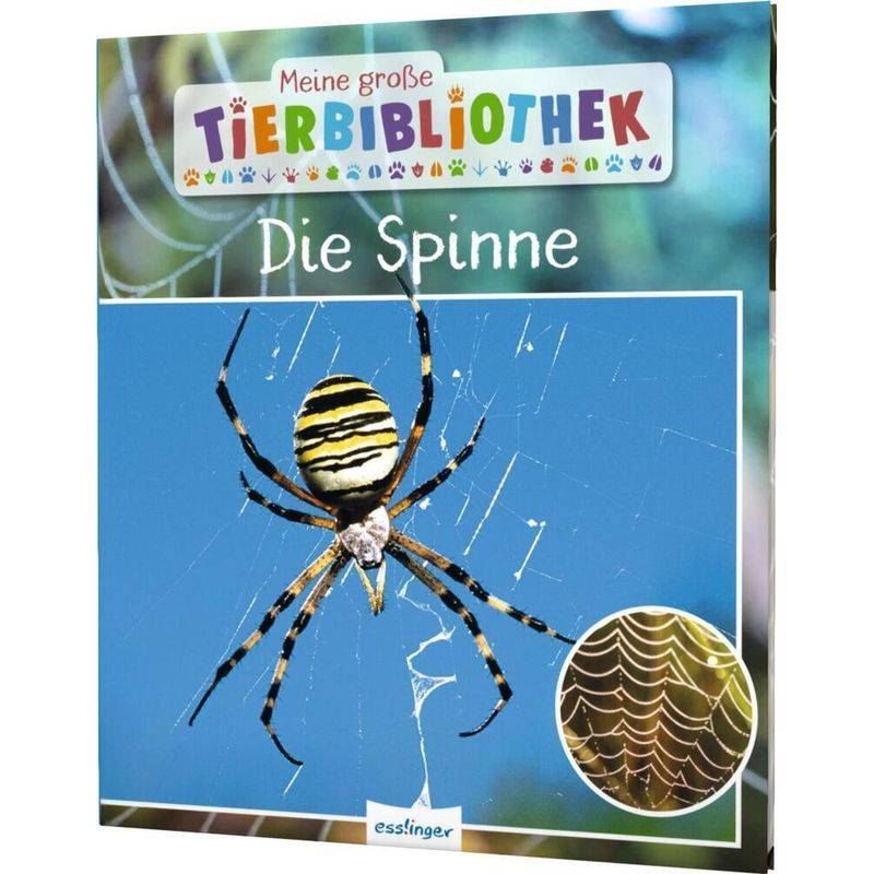 Die Spinne / Meine Große Tierbibliothek Bd.24 - Jens Poschadel, Gebunden von Esslinger in der Thienemann-Esslinger Verlag GmbH