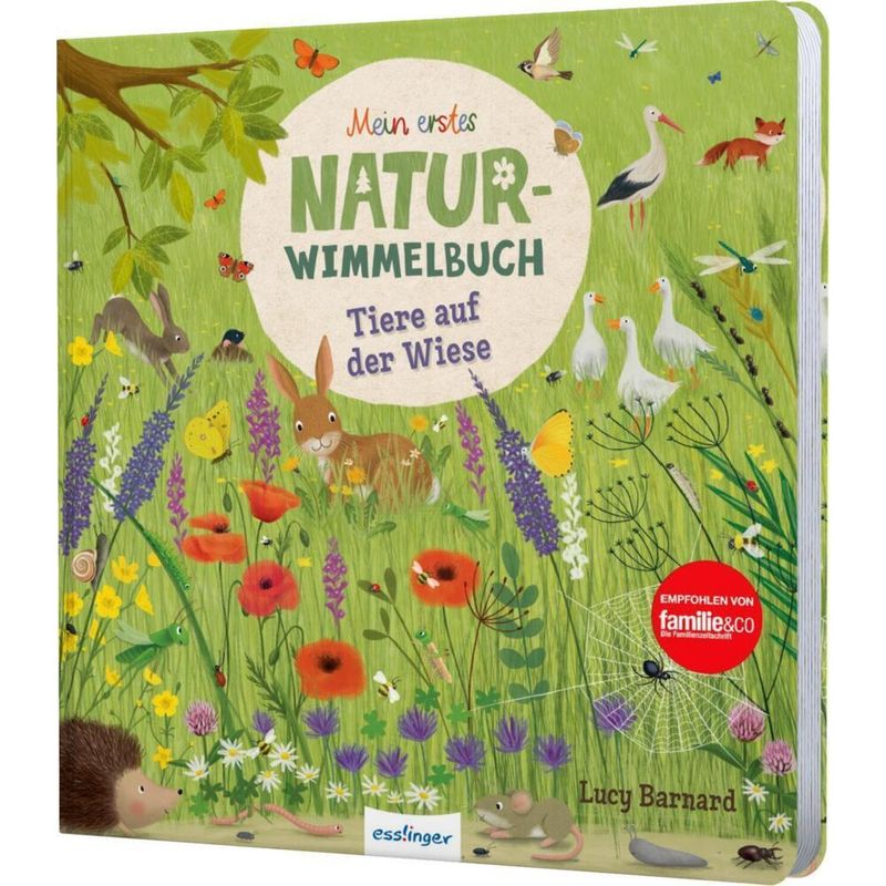 Mein Erstes Natur-Wimmelbuch: Tiere Auf Der Wiese - Katharina Lotz, Pappband von Esslinger in der Thienemann-Esslinger Verlag GmbH