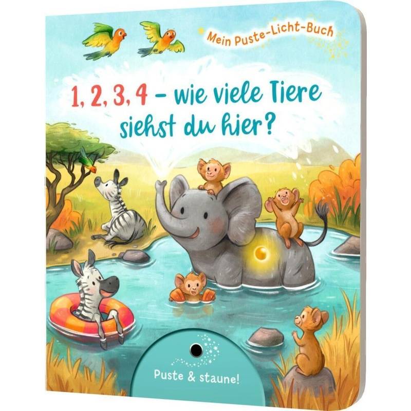 Mein Puste-Licht-Buch: 1,2,3,4 - Wie Viele Tiere Siehst Du Hier? - Fee Krämer, Pappband von Esslinger in der Thienemann-Esslinger Verlag GmbH
