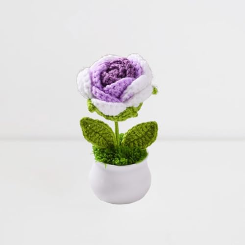 Esyzsss GehäKelte Blumen,PlüSch Blume,HäKelblumen,SüßE Handgestrickte Rosen Blumen,Gradienten Rose Mini Stricken TöPfe Schreibtisch Dekoration, FüR Home Office Desktop,Auto Dekoration Esyzsss GehäKelte Blumen,PlüSch Blume,HäKelblumen,SüßE Handgestrickte Rosen Blumen,Gradienten Rose Mini Stricken TöPfe Schreibtisch Dekoration, FüR Home Office Desktop,Auto Dekoration von Esyzsss