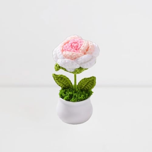 Esyzsss GehäKelte Blumen,PlüSch Blume,HäKelblumen,SüßE Handgestrickte Rosen Blumen,Gradienten Rose Mini Stricken TöPfe Schreibtisch Dekoration, FüR Home Office Desktop,Auto Dekoration Esyzsss GehäKelte Blumen,PlüSch Blume,HäKelblumen,SüßE Handgestrickte Rosen Blumen,Gradienten Rose Mini Stricken TöPfe Schreibtisch Dekoration, FüR Home Office Desktop,Auto Dekoration von Esyzsss