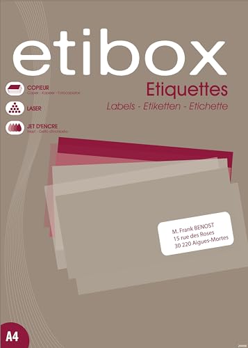 ETIBOX 100324-600 Etiketten, weiß, 100 Blatt, A4, Laserdrucker, Tintenstrahldrucker, Kopierer, 99,1 x 93,1 mm. von Etibox