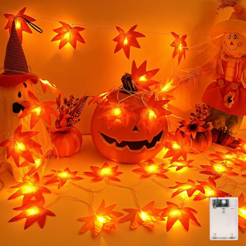 Etopgo Herbst Dekoration Lichterkette Batterie, 3M 20 LED Ahornblätter lichterkette mit 6H Timer, Herbst Ahornblatt Girlande Lichtern für Innen Außen Deko, Halloween Deko, Herbstdeko, Thanksgiving Etopgo Herbst Dekoration Lichterkette Batterie, 3M 20 LED Ahornblätter lichterkette mit 6H Timer, Herbst Ahornblatt Girlande Lichtern für Innen Außen Deko, Halloween Deko, Herbstdeko, Thanksgiving von Etopgo