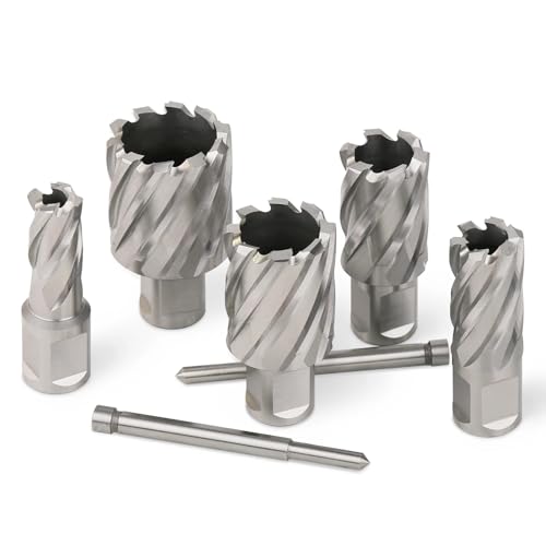 12-60 mm HSS-Ringschneider-Kernbohrer, 19 mm Weldon-Schaft, Hohllochsägenschneider for Schneiden von Metall, Stahl, Aluminium und Kupfer(28mmX25mm) von EuZhOuDEQiNg
