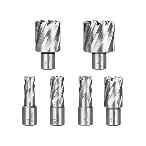HSS-Ringschneider, 6–60 mm, Kernbohrer, 19 mm Weldon-Schaft, Hohlbohrer, Lochsägenschneider for Metallschneidwerkzeug(50x35mm) von EuZhOuDEQiNg