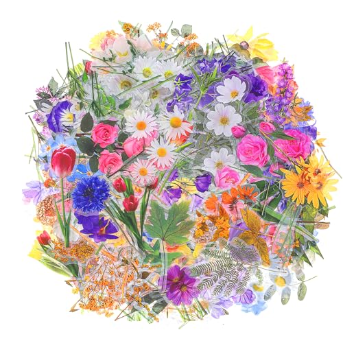 320 Stück Blumen Scrapbooking Aufkleber Pflanzen Dekorative Aufkleber Vintage Wasserfeste Aufklebers Transparent Blumenaufkleber Stickers für Fotoalbum DIY Tagebücher Karten 320 Stück Blumen Scrapbooking Aufkleber Pflanzen Dekorative Aufkleber Vintage Wasserfeste Aufklebers Transparent Blumenaufkleber Stickers für Fotoalbum DIY Tagebücher Karten von EupHHonycs