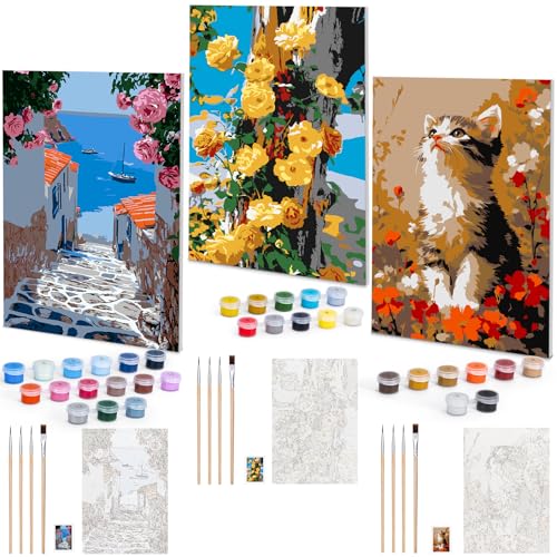 Euqvunn 3er-Set Malen nach Zahlen Erwachsene mit Rahmen, DIY 20x30cm Malen nach Zahlen Erwachsene Set mit Pinsel und Farben für Anfänger, Ölmalerei Bastelset für Wanddekoration zu Hause Euqvunn 3er-Set Malen nach Zahlen Erwachsene mit Rahmen, DIY 20x30cm Malen nach Zahlen Erwachsene Set mit Pinsel und Farben für Anfänger, Ölmalerei Bastelset für Wanddekoration zu Hause von Euqvunn