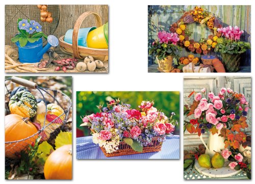 25 Grußkarten hochwertige Karten Herbst Rose Kürbis Blume Klappkarten von Eurofuchs24