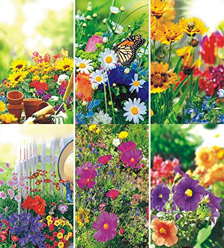 50 Grußkarten Blumen neutrale Glückwunschkarten Klappkarten Hüllen 991-5304 von Eurofuchs24