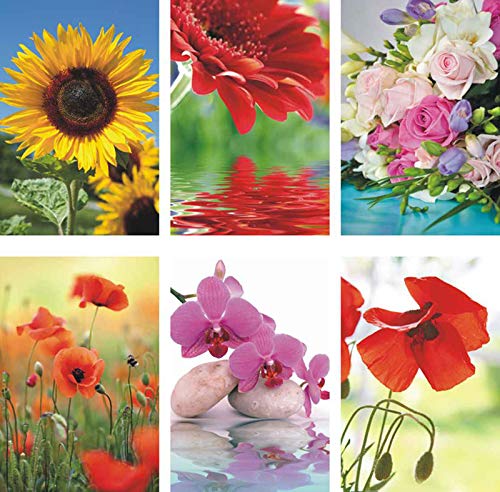 50 Grußkarten Blumen neutrale Glückwunschkarten Klappkarten Hüllen 991-5404 von Eurofuchs24