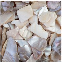 Muschelplatten Muschelplatten von Eurosand