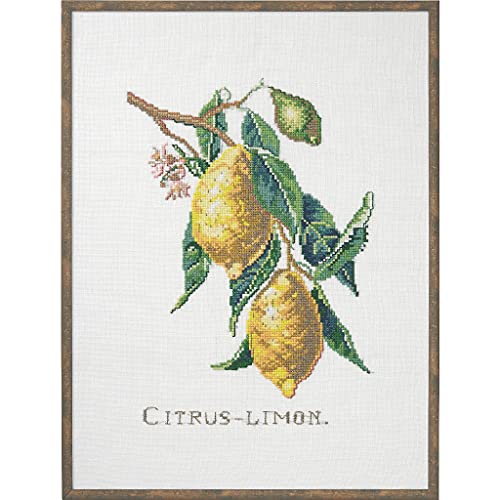Eva Rosenstand Kreuzstich Set Citrus-Lemon Zählmuster von Eva Rosenstand