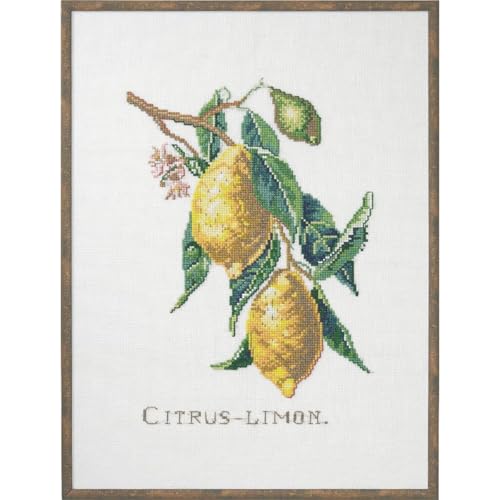Eva Rosenstand Kreuzstich Set Citrus-Lemon Zählmuster von Eva Rosenstand