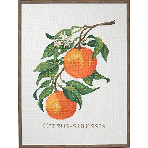 Eva Rosenstand Kreuzstich Set Citrus-senensis Zählmuster von Eva Rosenstand