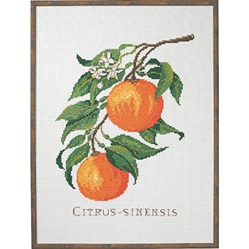 Eva Rosenstand Kreuzstich Set Citrus-senensis Zählmuster von Eva Rosenstand