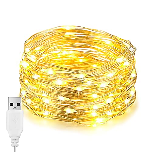 EvaStary LED-Lichter, 100 33ft USB-LEDs, wasserdichte Silberdraht-Lichter, Schlafzimmer-dekorative Beleuchtung für Weihnachten, Gartenparty, Hochzeit im Freien (Warmweiß) von EvaStary