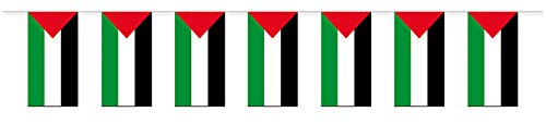 Everflag Papierfahnen-Kette 5m : Palästina von Everflag