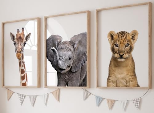 Eviepops Prints Set aus 3 Realistisch Safaritieren für Kinderzimmer von Jungen und Mädchen, Ungerahmter Druck, Kinder Wandkunst, Dekor im Babyzimmer, Spielzimmer-Poster, giraffe löwe elefant (A4) von Eviepops Prints